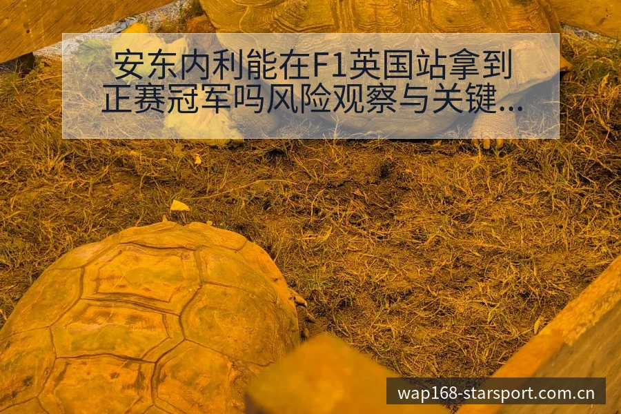 安东内利能在F1英国站拿到正赛冠军吗风险观察与关键变化分 - 星空体育app
